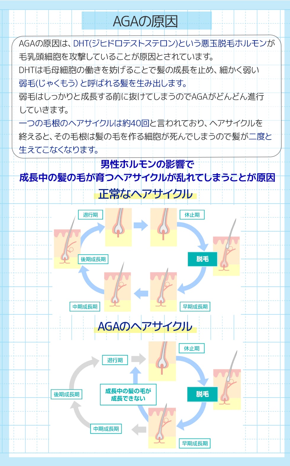 悪玉脱毛ホルモンが原因！