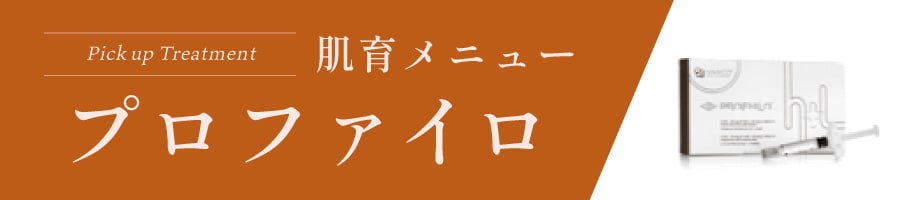 肌育メニュー | 03 プロファイロ