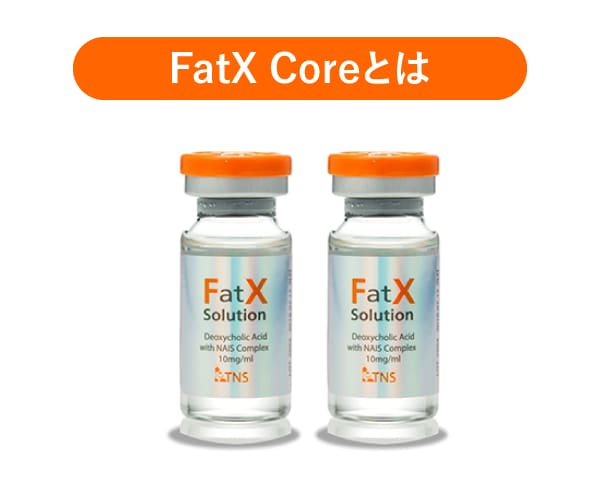 FatX coreとは？