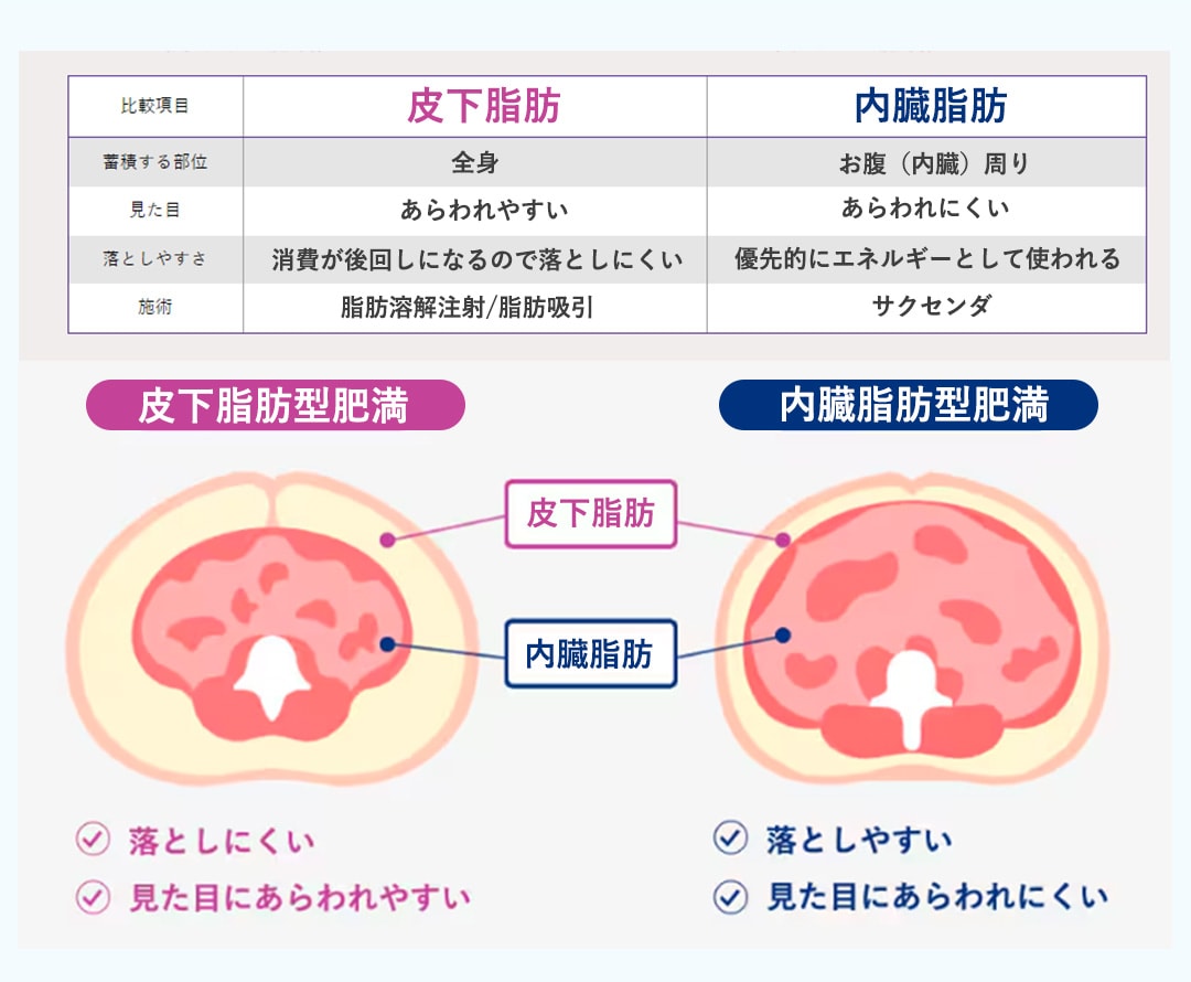 皮下脂肪型と内臓脂肪型