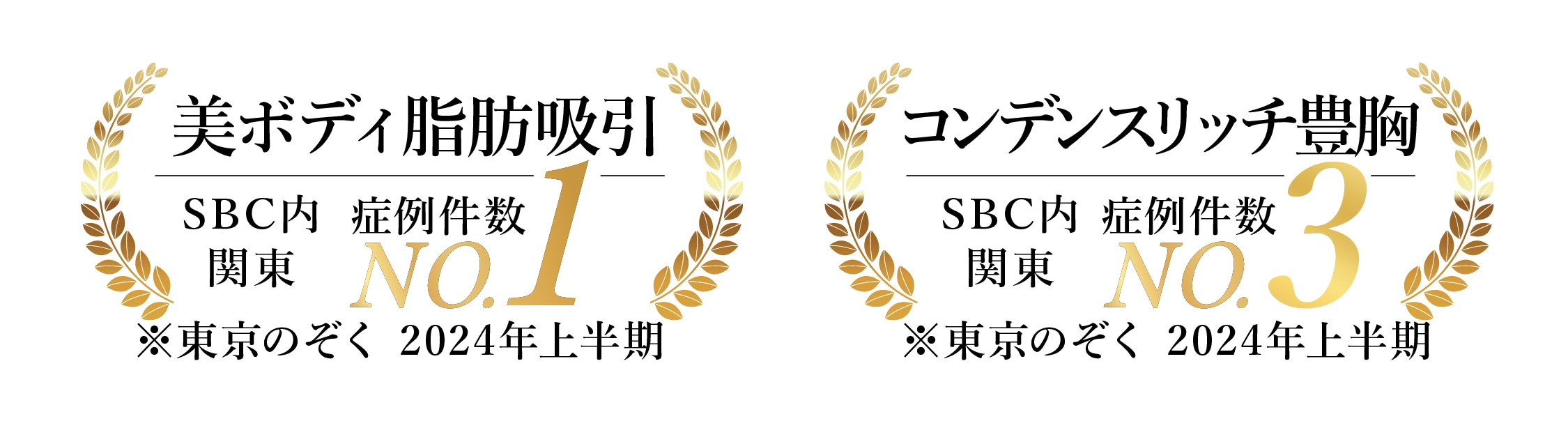 藤井医師の実績