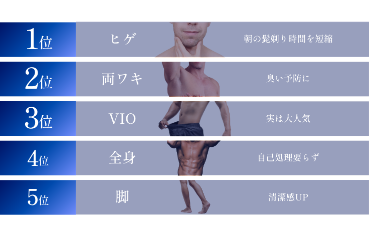  人気ランキングTOP5！