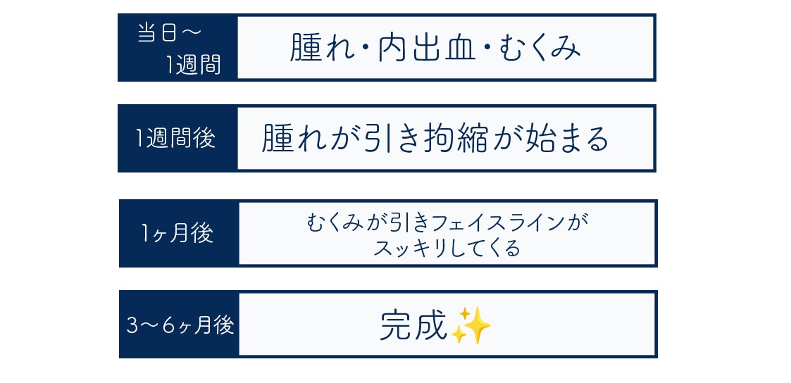 ３ヶ月〜６ヶ月後：完成形に！