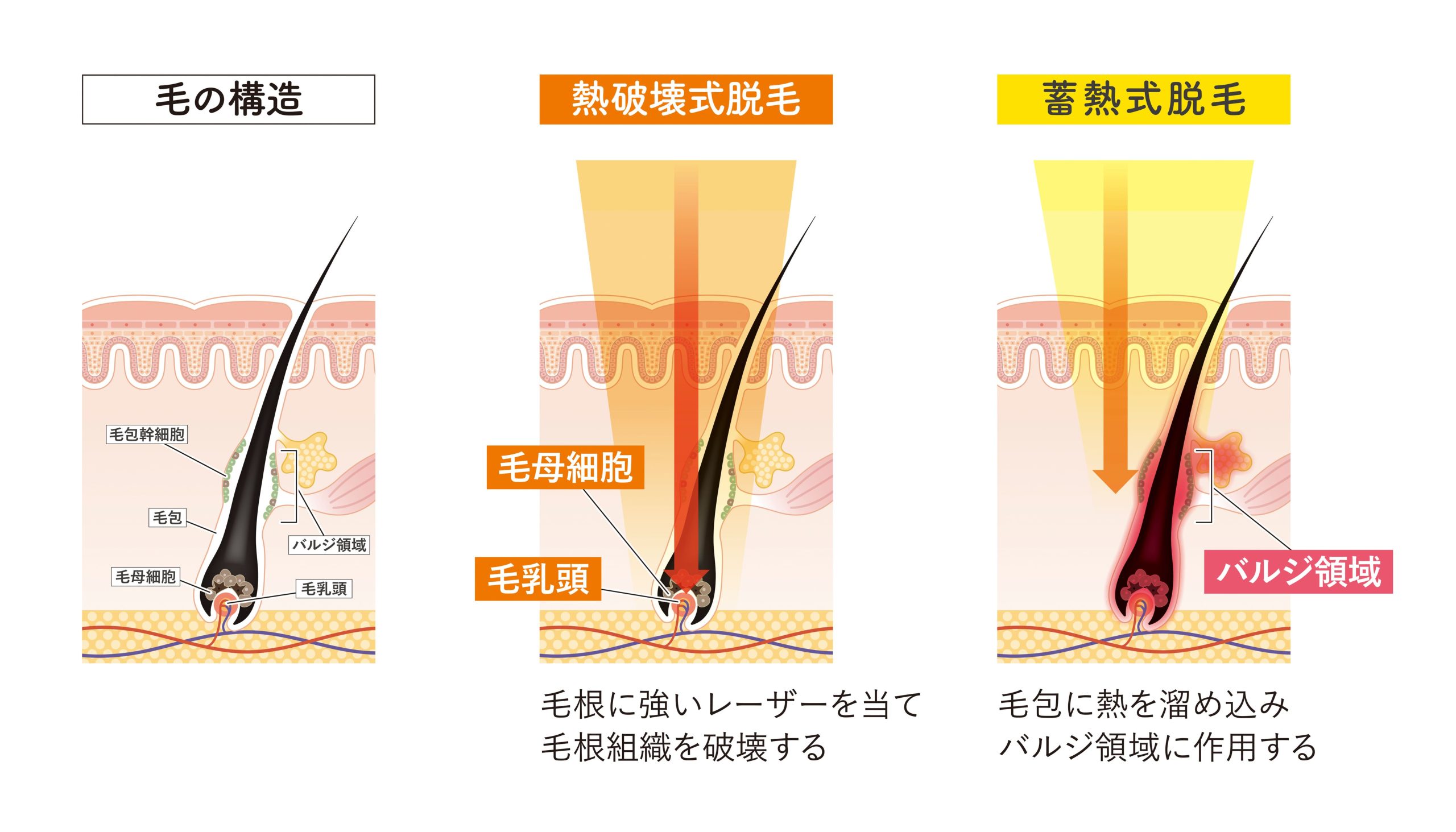 よくある質問3選まとめました！