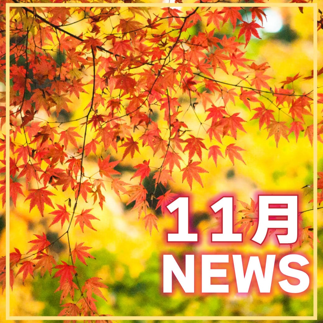 【11月】年末年始のご予定は？キャンペーンが終わったあと・・・