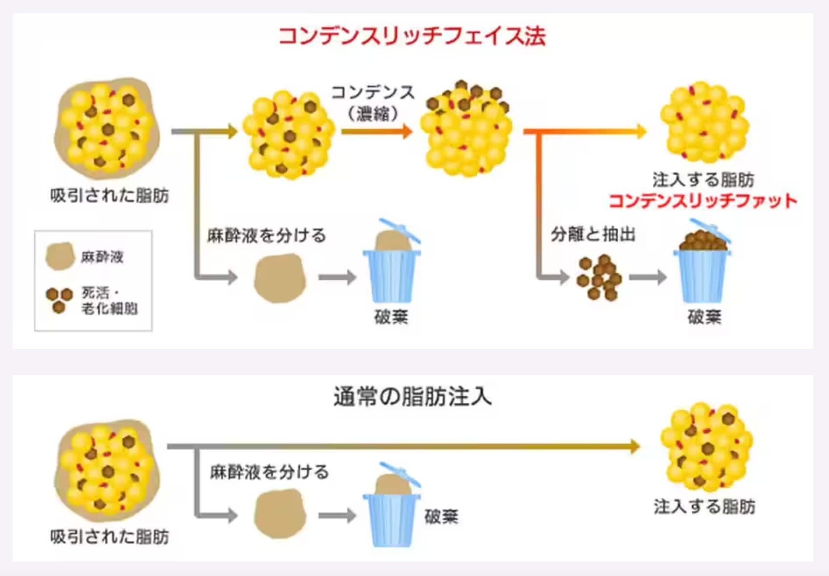 高い定着率と安全性