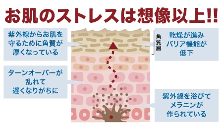 肌は刺激を受けると角質を厚することでダメージを防ごうとします