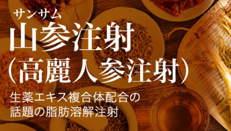 高麗人参の力で脂肪燃焼！短期間に変化を出したい方に！