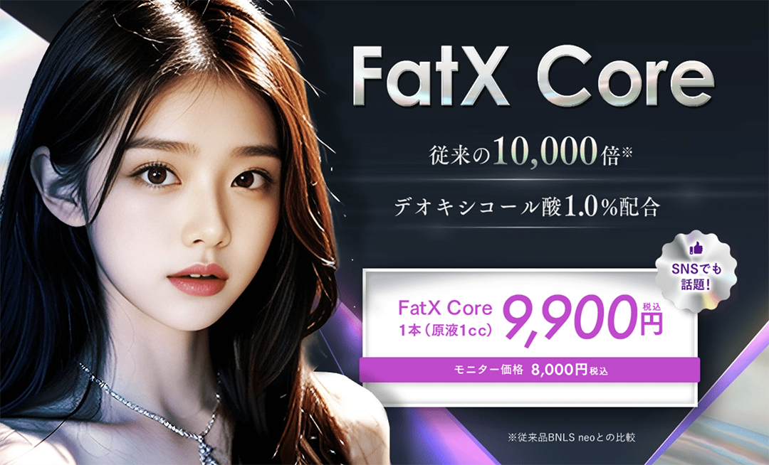 FatX Coreとは？