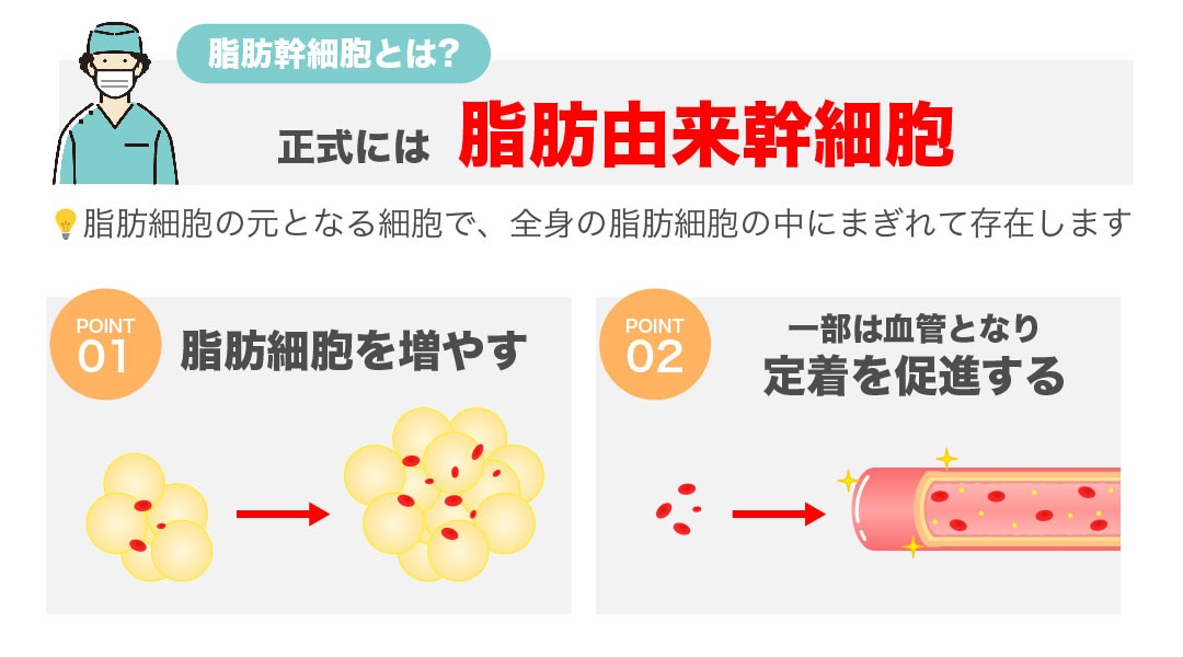 脂肪幹細胞ごと増やす最先端の豊胸術✨