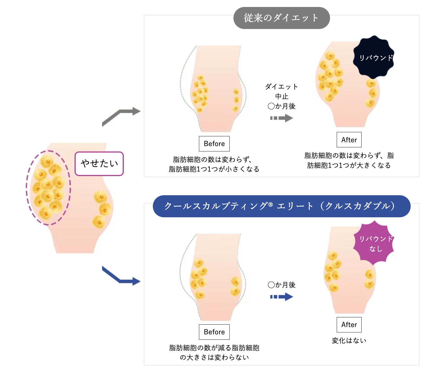 ✅リバウンドしない