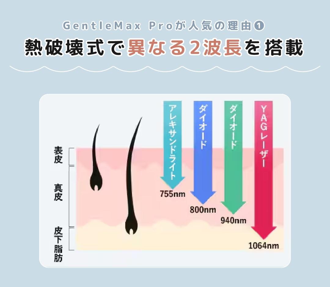 熱破壊式で異なる2波長を搭載