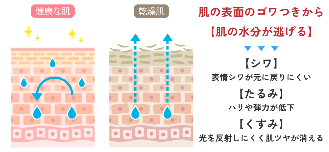 ミドル世代の肌に必要なもの