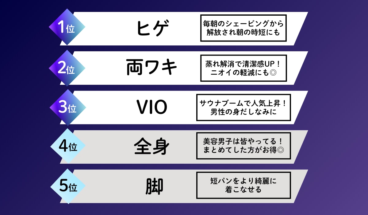 人気部位ランキング