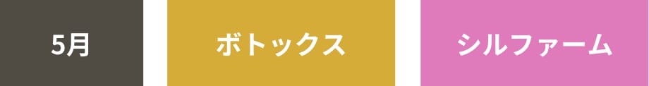 いよいよ3回目！シルファームの効果は？