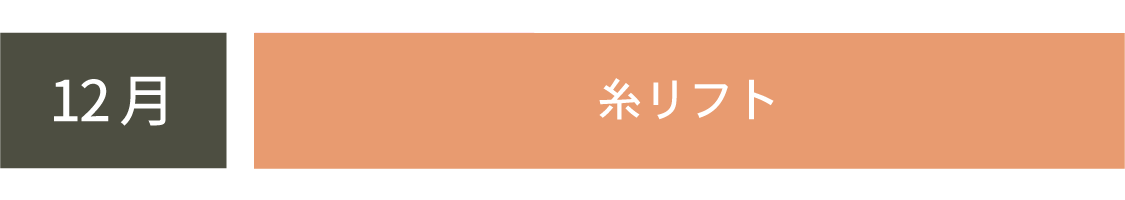 年末のお休みで待望の糸リフト！