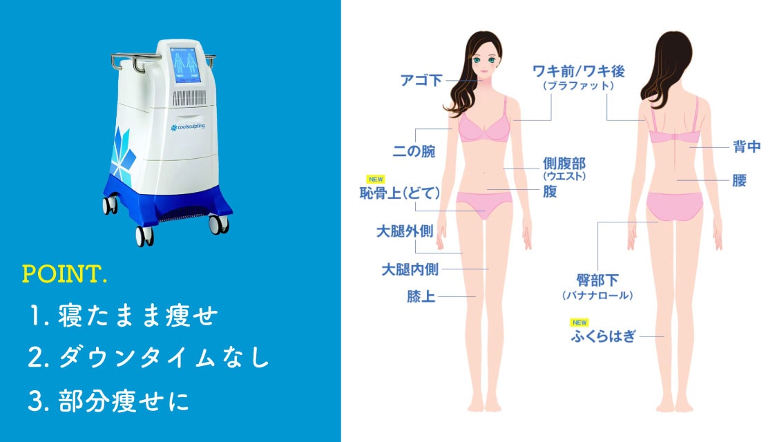 クールスカルプティング<br />
