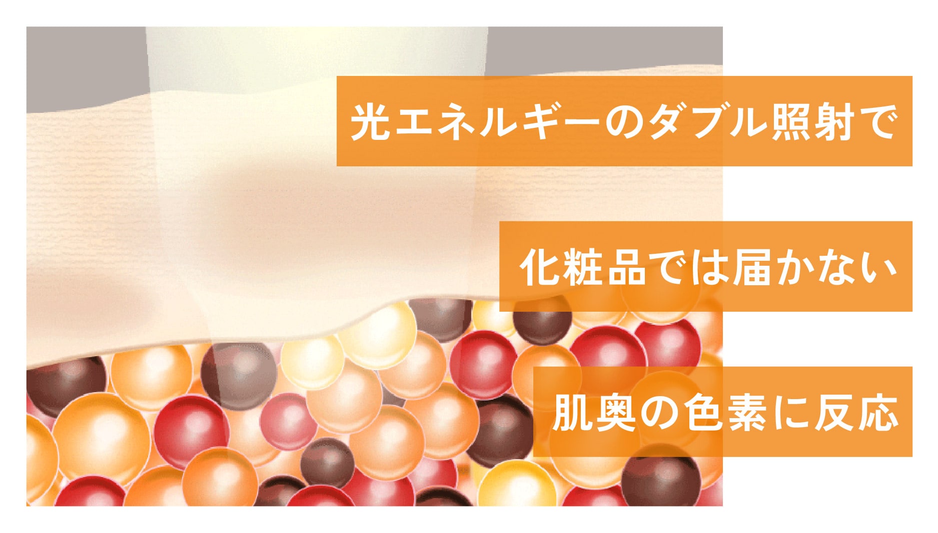 さらに毛穴・小じわ改善も期待できる【今見えていない色素にもアプローチ！】