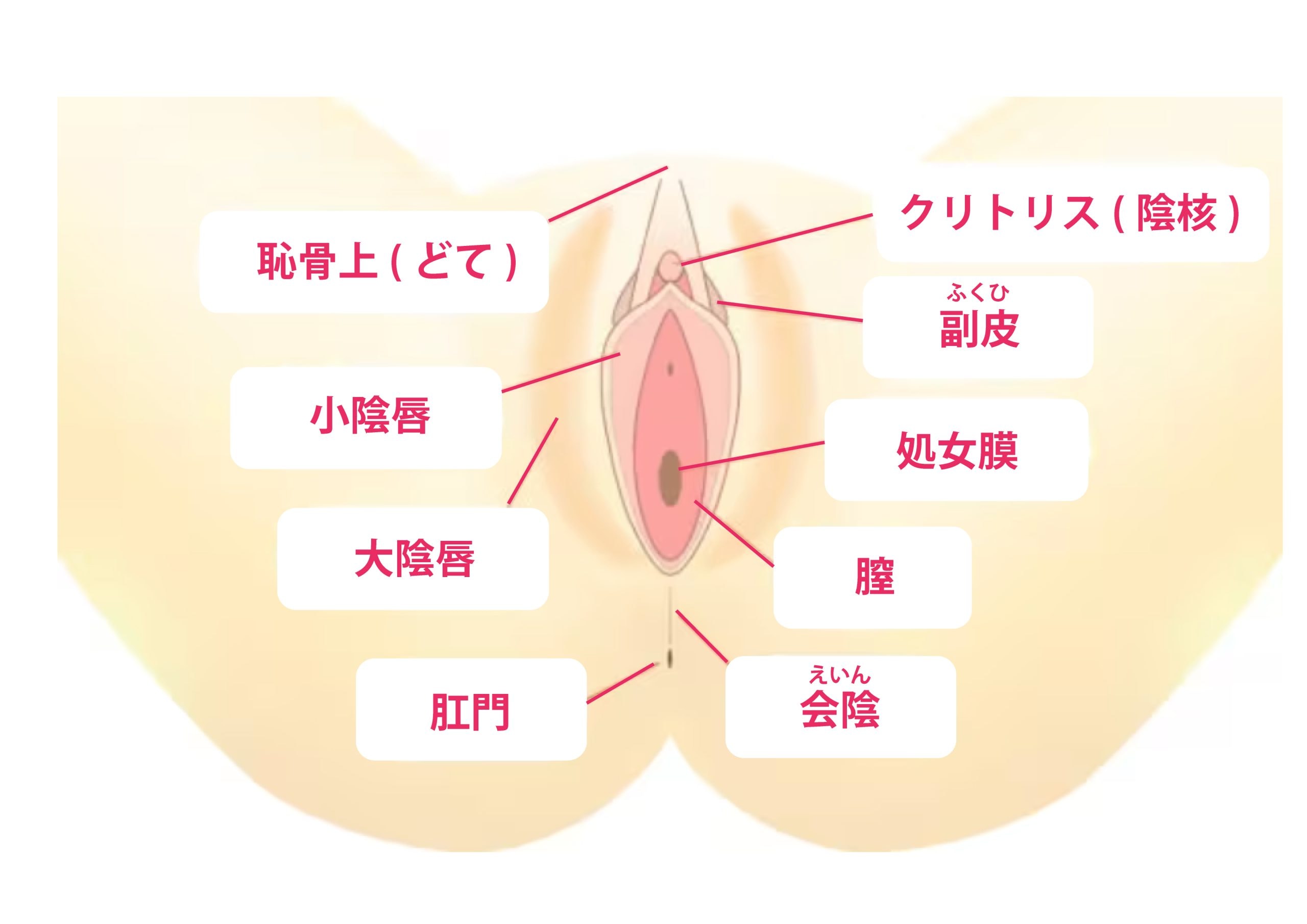 小陰唇の黒ずみが気になる方の場合は手術で切除する方法も！