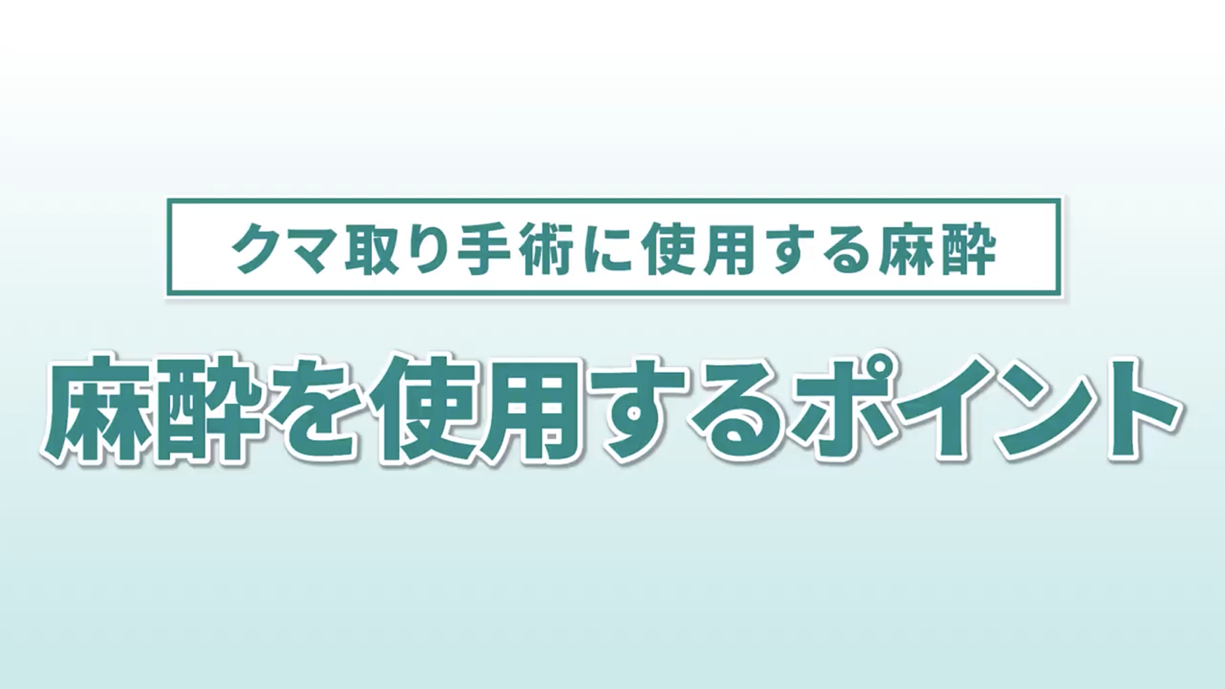 実際の使用手順をご紹介します！