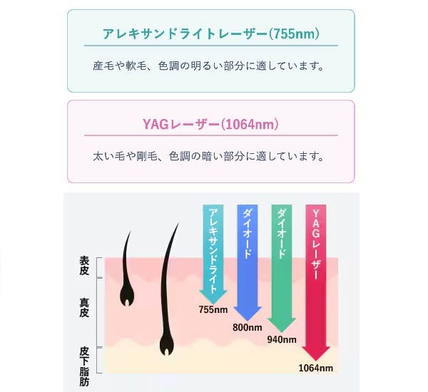 〈人気な理由①〉熱破壊式脱毛器で異なる2波長を搭載！