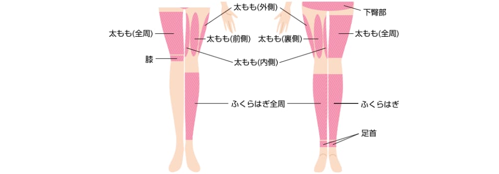 脚・臀部