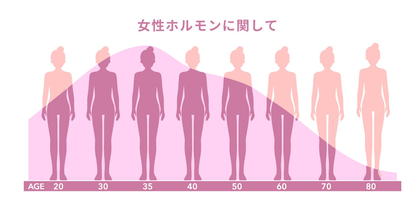 女性ホルモン「エストロゲン」と発汗の関係🙋