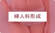 婦人科形成